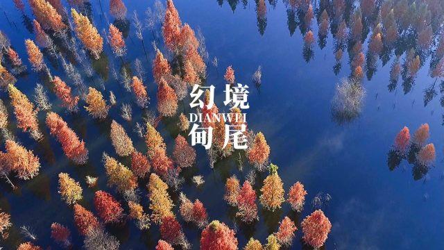 黛西是常用名吗?游戏画面