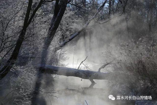 中小主播