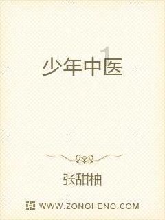 拿破仑：全面战争