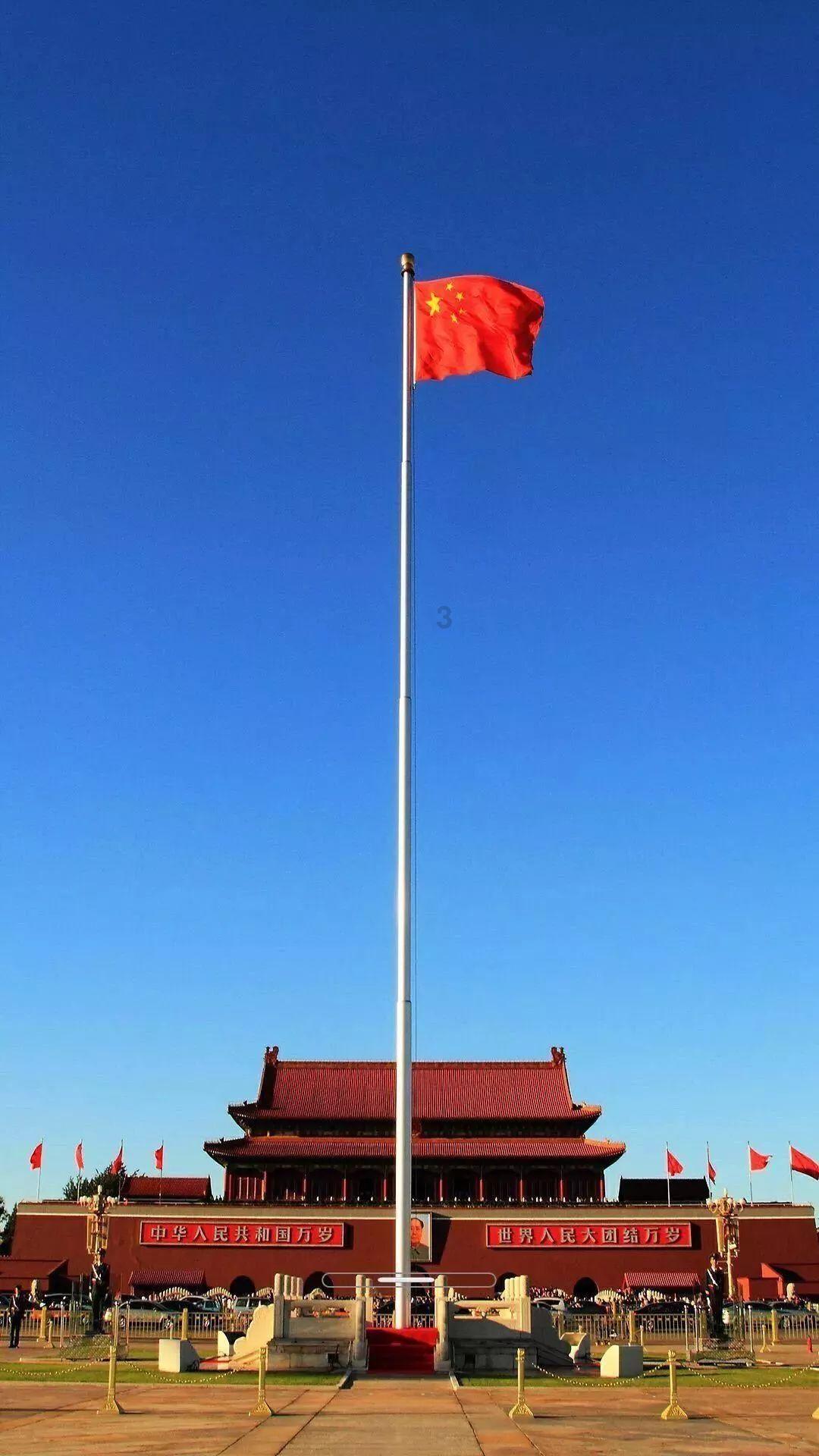 因为没有把羊群带好，残忍的牧场主将边境牧羊犬吊树上杀害