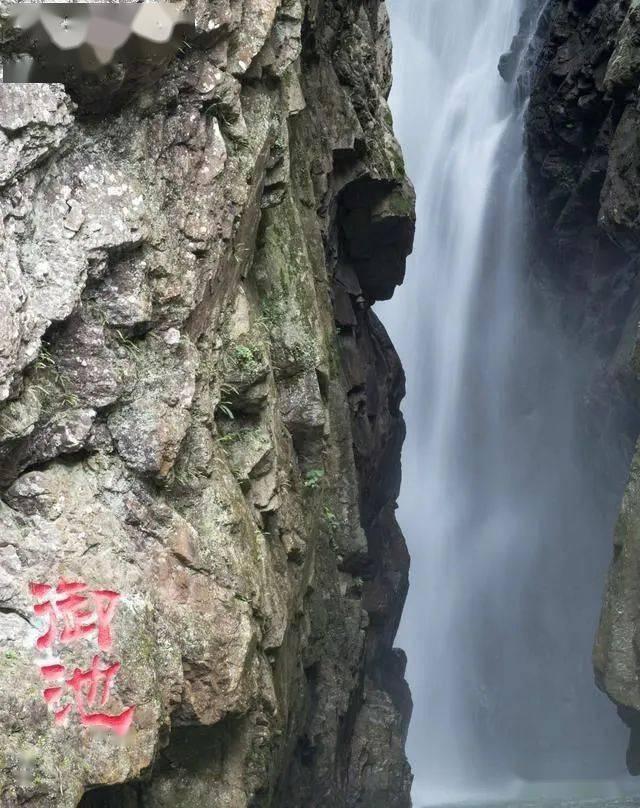 住连省政协委员在省政协十三届二次会议联组会议发言