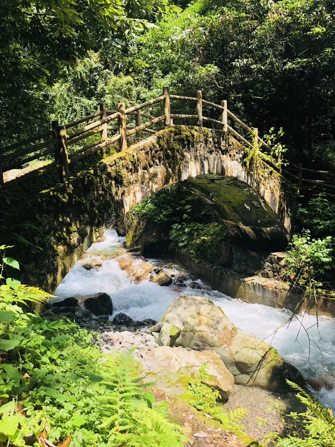 幻境森林大逃生