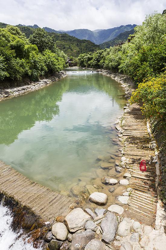 贪吃鼠吃豆豆