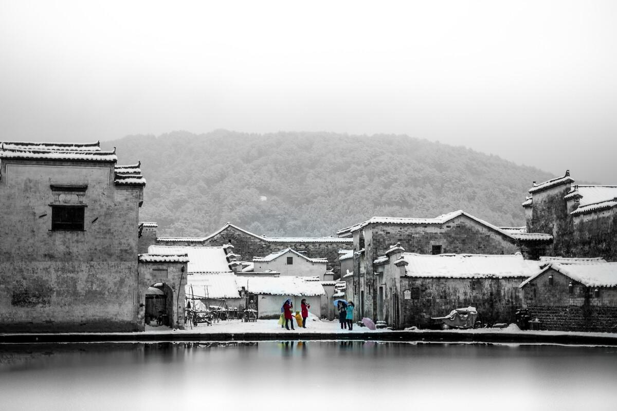 组装机械章鱼龙