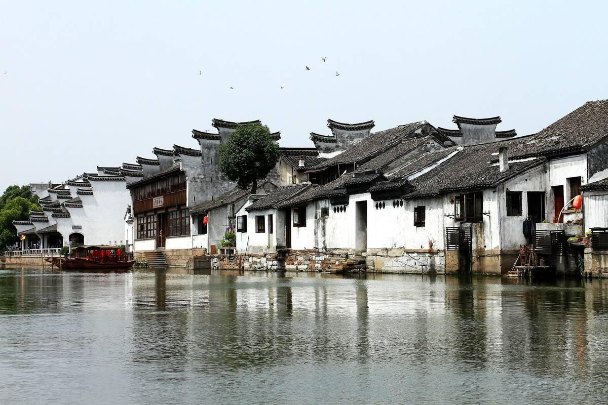 动物帮帮忙保卫家园